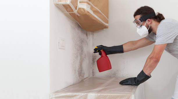 Professional Commercial Mold Remediation technician working in Chester, IL